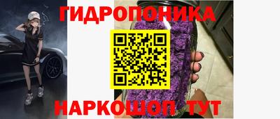винт Кингисепп