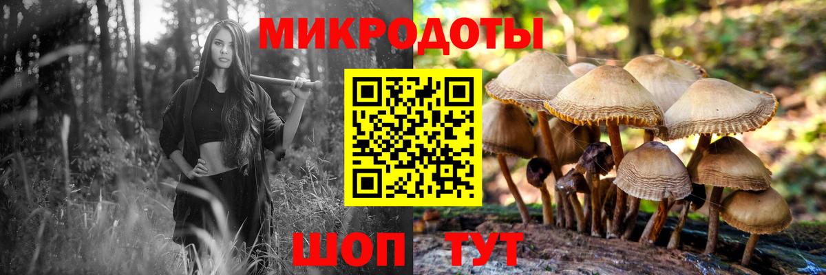 Псилоцибиновые грибы Cubensis  Вход с VPN  Псилоцибиновые грибы ЛСД  Костомукша 